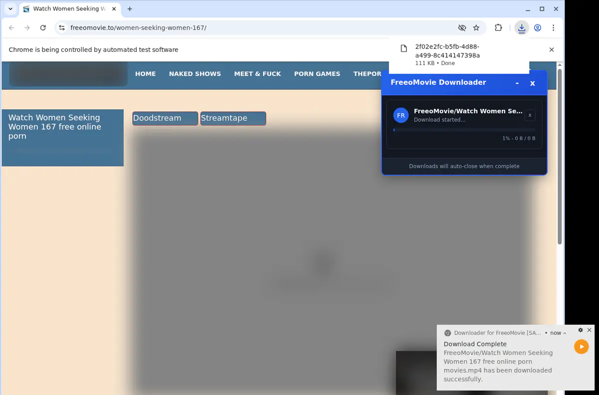 Freeomovie Video Downloader browser extension screenshot 2